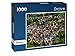 Produktbild Dreisen - Puzzle 1000 Teile mit Bild von oben