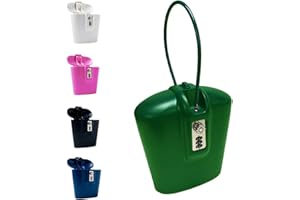 SAFEGO Portable Indoor/Outdoor Lock Box Safe with Key and Combination Access (Green)