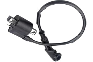 Buaak 2 Pin Motorrad Zündspule, ATV Zündspul e Ersatz, Zündspu le Auto, Scooter Zündsp ule, Zündspulen Abzieher, Motorzündspule, Zünds pulen für CG125, 150CC, 200CC, 250CC ATV, Roller, Moped, Go-Kart