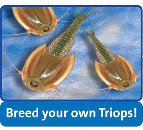 Imagen 2 de Ravensburger - Modelo a escala (18929) (versión en inglés)