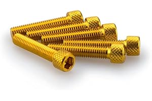 PUIG: blister 6 Viti allen M6 x 30 mm. oro