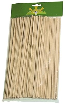 Youdoit Ustensile de cuisine Pw International 100 bâtonnets pour barbe à papa
