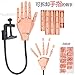 Produktbild WACBH Training Hand Praxis Nail Art Trainer Verstellbare Training Hand Modle + 100 Tipps, Picture Color