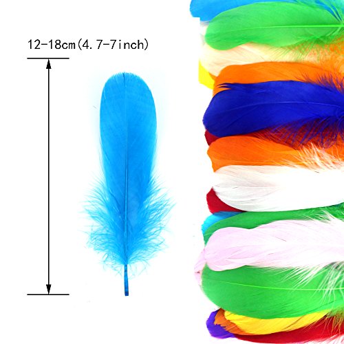 Coceca 150 Stück Bunte Federn12-18cm (4,7-7 Zoll) für Kunst und Handwerk - 4