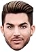 Price comparison product image Adam Lambert Mask