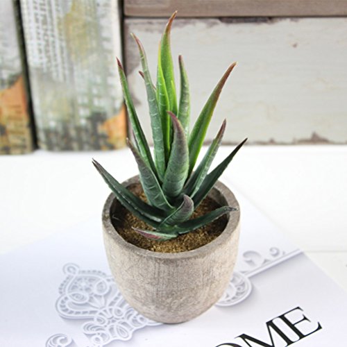 WINOMO Künstliche Pflanz klein Kunstpflanzen Kunstblume Deko mini Sukkulenten Tischdeko (Aloe) - 2