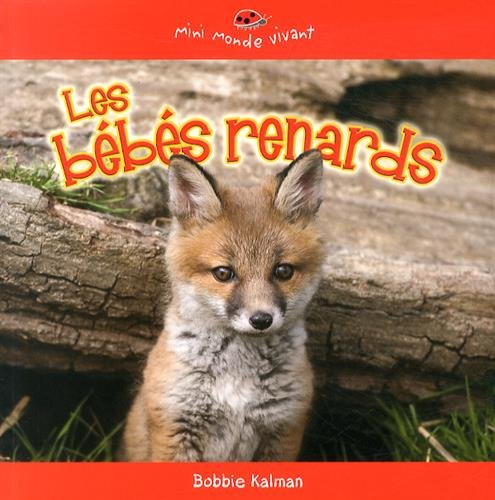 couverture de : Les b&eacute;b&eacute;s renards
