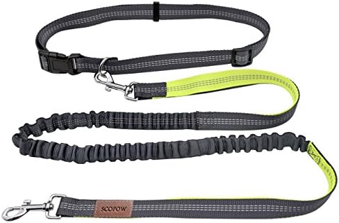 Hands Free Running Dog Lead, SCOPOW Adjustable Walking Jogging Leash Dual Bungee With Reflective Stitching for Up to 110 lbs Dogs