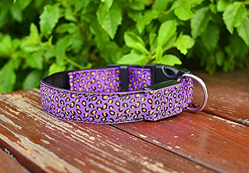 light purple dog collar