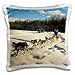 Produktbild Sandy Mertens Alaska - Iditarod Sled Dog Racing in Fairbanks - 16x16 inch Pillow Case
