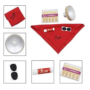 LADE 5-in-1 Tenor Saxophone Sax Reed Bamboo Cleaning Cloth Aluminum Alloy Mute Cork Grease Mouthpiece Patch Accessories Kit Tenor Saxophone