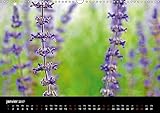 Image de Rêve de nature : Paysages de nature et de fleurs. Calendrier mural A3 horizontal 2017