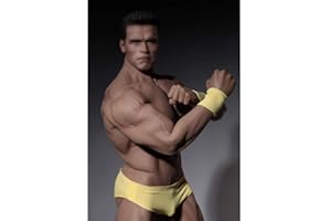 ZSMD 1/6 Scale Flexibler männlicher Nahtloser Körper, Stahlrahmen und 28 Gelenke, langlebig und leicht zu reinigen, ohne Kopfform, PL2016-M34