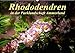 Produktbild Rhododendren in der Parklandschaft Ammerland (Wandkalender 2019 DIN A2 quer): Peter Roder mit einzigartigen Aufnahmen aus Deutschlands größtem und ... (Monatskalender, 14 Seiten ) (CALVENDO Natur)