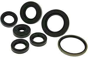2EXTREME Wellendichtring Satz Motor kompatibel mit Aprilia SR50, Mojito, kompatibel mit Piaggio NRG, TPH, Quartzm Sfera NSL, ZIP 50ccm