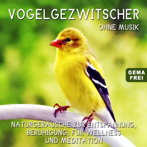 Vogelstimmen am Waldbach - Vogelgezwitscher zur Entspannung, für ...