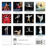 Image de Royal Ballet wall calendar 2016 (Art calendar)