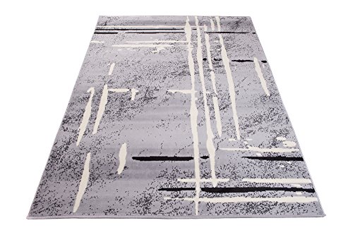 Designer Teppich Modern – Muster Abstraktion Streifen Meliert in Grau – Top Wohnzimmer Design – Viele Größen Neuheit 160 x 220 cm - 6