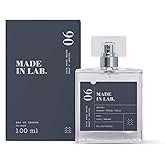 Made in Lab   Mens Perfume 100 ml Inspired Pendant as Eau de Perfume Fragrance Men Perfume Men Fragrance for Men   6 Invictus