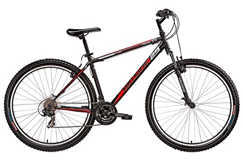 29“ Hillside Mountainbike Peak 2.0 Shimano Tourney 21 Gang Schaltung 19“ RH - 2