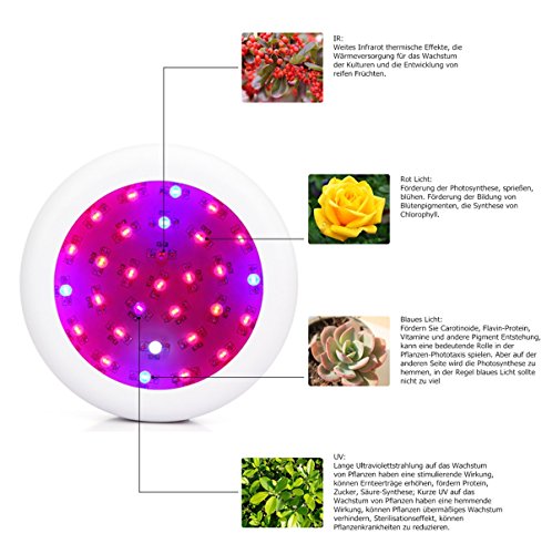 JADIDIS 300W UFO LED Pflanzenlampe Doppelte Chips für Kraut Blume Zimmerpflanzen Wachsend Hydroponisches System 9 Band Vollspektrum Wachsen Licht(10W Leds) - 5