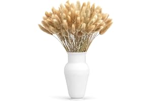BoloShine 60 Pezzi Erba Pampas Secca, Coda di Coniglio Fiori Secchi Erba di Pampa Bouquet di Fiori Fiori Artificiali Naturale Essiccata per Matrimoni Decorazione d'interni Natale Casa Giardino