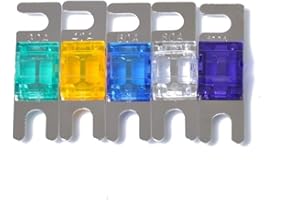 Carviya, confezione da 5 fusibili ANL da 30 Amp, 40 Amp, 60 Amp, 80 Amp, 100 Amp