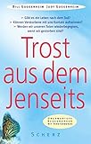 Image de Trost aus dem Jenseits: Unerwartete Begegnungen mit Verstorbenen