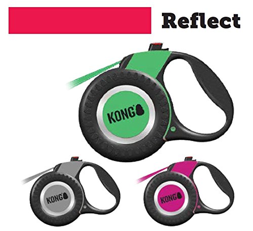 kong reflective retractable dog leash