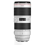 Canon Telezoomobjektiv EF 70-200mm F2.8L IS III USM Telezoom für EOS (77mm Filtergewinde, Bildstabilisator), hellgrau/schwarz