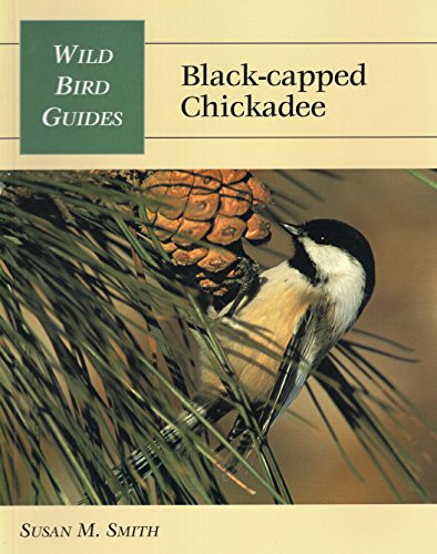 Black-Capped Chickadee livre