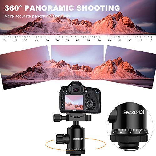 Precio Más Barato Trípode Completo - Beschoi Trípode Cámara Reflex
Trípode de Viaje de Fibra de Carbono con Rótula de Bola y Zapatas
Rápidas (Altura de 49cm a 165.5cm, Capacidad de 10 kg, Bolsa Incluida),
Negro En línea
