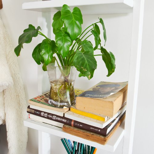 SoBuy® Wandregal, Badregal, Leiterregal, Standregal, Bücherregal, mit vier Böden, Breit: 33cm, weiß, FRG15-W - 5