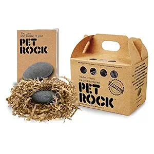 Pet Rock Stone desk pet rock, Multicolour