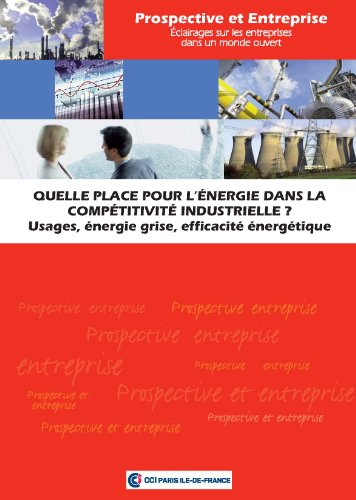 Book's Cover of Quelle place pour lenergie dans la compétitivité industrielle   Usages énergie grise efficacité énergétique