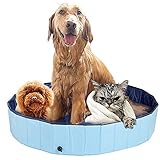 Avis Piscine Chien Le Test Des Meilleurs 2019