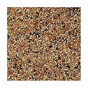 HANU Love Bird Food 1KG | Mix Seed for Budgies, Love Birds, Cocktails and Finches, Small Birds 01