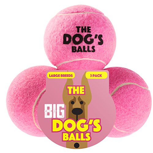 Preisvergleich Produktbild Der Hund 's Ball