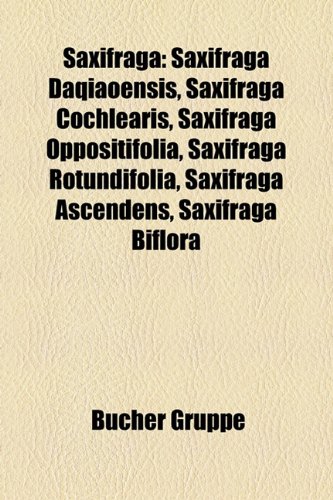 Preisvergleich Produktbild Saxifraga: Saxifraga Daqiaoensis, Saxifraga Cochlearis, Saxifraga Oppositifolia, Saxifraga Rotundifolia, Saxifraga Ascendens, Sax