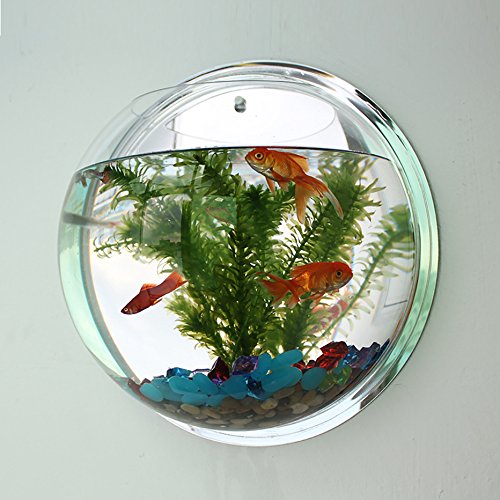 Acquario Ciondolo Vaso Decorazione Parete Motivo Decoracion interni ristoranti 17 cm di Open Buy
