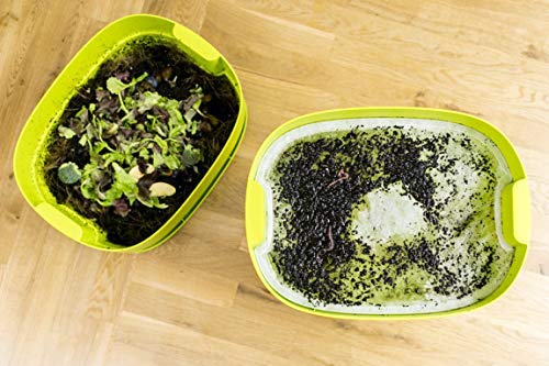 Preisvergleich Produktbild Plastia Urbalive Worm Farm Tray Tablett, Motiv Wurm, lichtgrün