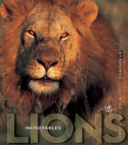 couverture de : Incroyables lions