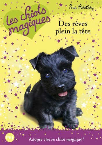 Des rêves plein la tête