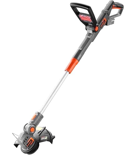 Acquista Una Batteria , Un Caricatore 20V - Foto 14