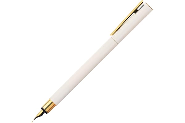 Faber-Castell 141440 - Stylo plume Neo Slim, largeur de plume M, doré marshmallow
