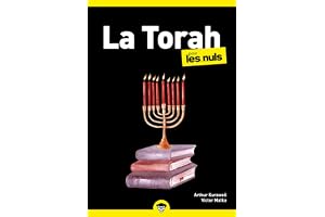 La Torah pour les Nuls, poche
