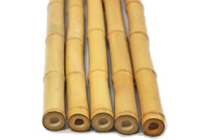 FlickBuyz Bamboo Canes - Plant Supports for Outdoor Plants – All Lengths 2,3,4,5,6,7 & 8ft Garden Canes, Heavy Duty Professional Bamboo Sticks for Plants, Garden Plant Supports (5, 6ft, 14-16mm)