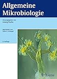 Image de Allgemeine Mikrobiologie