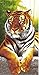 Produktbild PING Strandtuch für Kinder, Mädchen, Jungen, Mikrofaser, 70 x 150 cm, schönes Badetuch, ideal für Schwimmen, Reisen, Yoga, Sport, Camping, Sonnenliege One Tiger-695