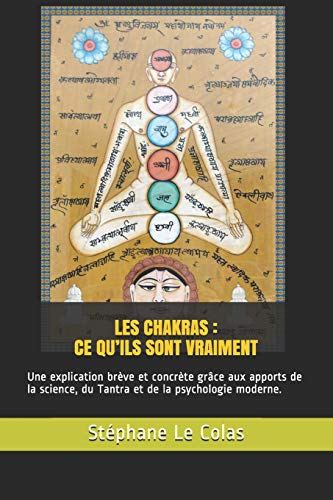 Télécharger LES CHAKRAS : CE QU'ILS SONT VRAIMENT: Une explication brève mais concrète grâce aux apports de l livre En ligne